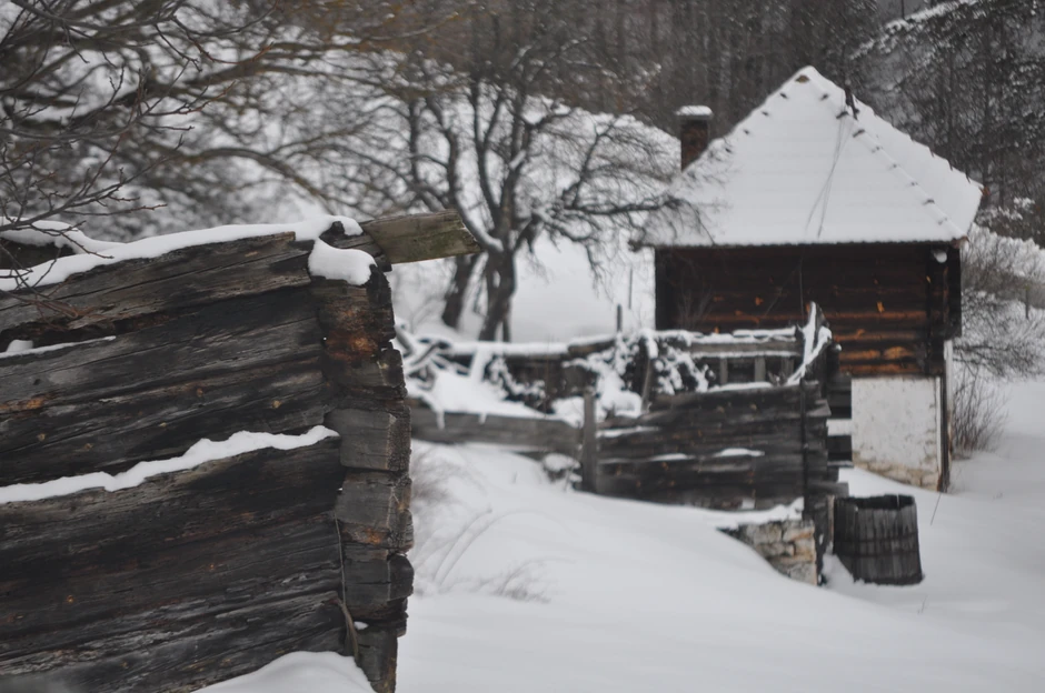 Dobroselica, pusto i staračko zlatiborsko selo