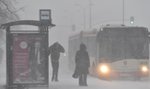 Ostatnie chwile z przyjemną temperaturą. Jutro załamanie pogody