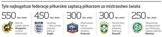 550 tys. euro na głowę za tytuł mistrzowski na mundialu