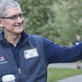 Morgan Stanley wydał raport o nowym iPhonie. Akcje Apple pobiły kolejny rekord