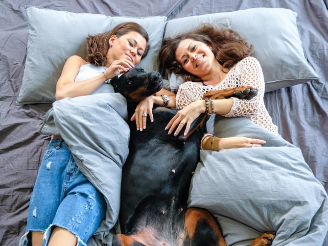 Kada je ljubav koju vlasnici osećaju prema svojim ljubimcima primerena -  a kada preterana?
