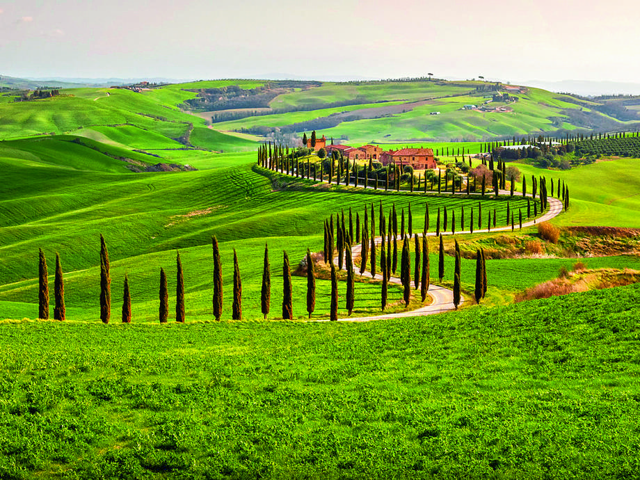 Włoska Toskania to nie tylko malownicze krajobrazy, ale też klimatyczne winnice, chętnie odwiedzane przez enoturystów z całego świata.