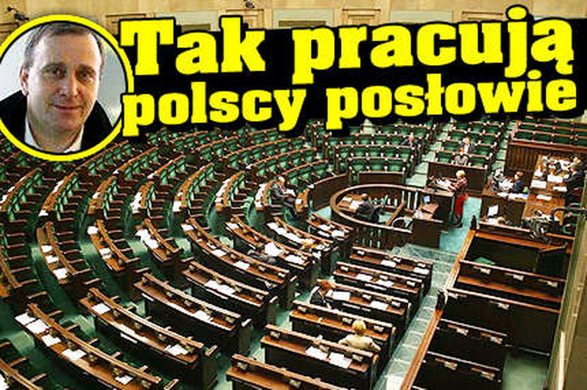 Tak pracują polscy posłowie