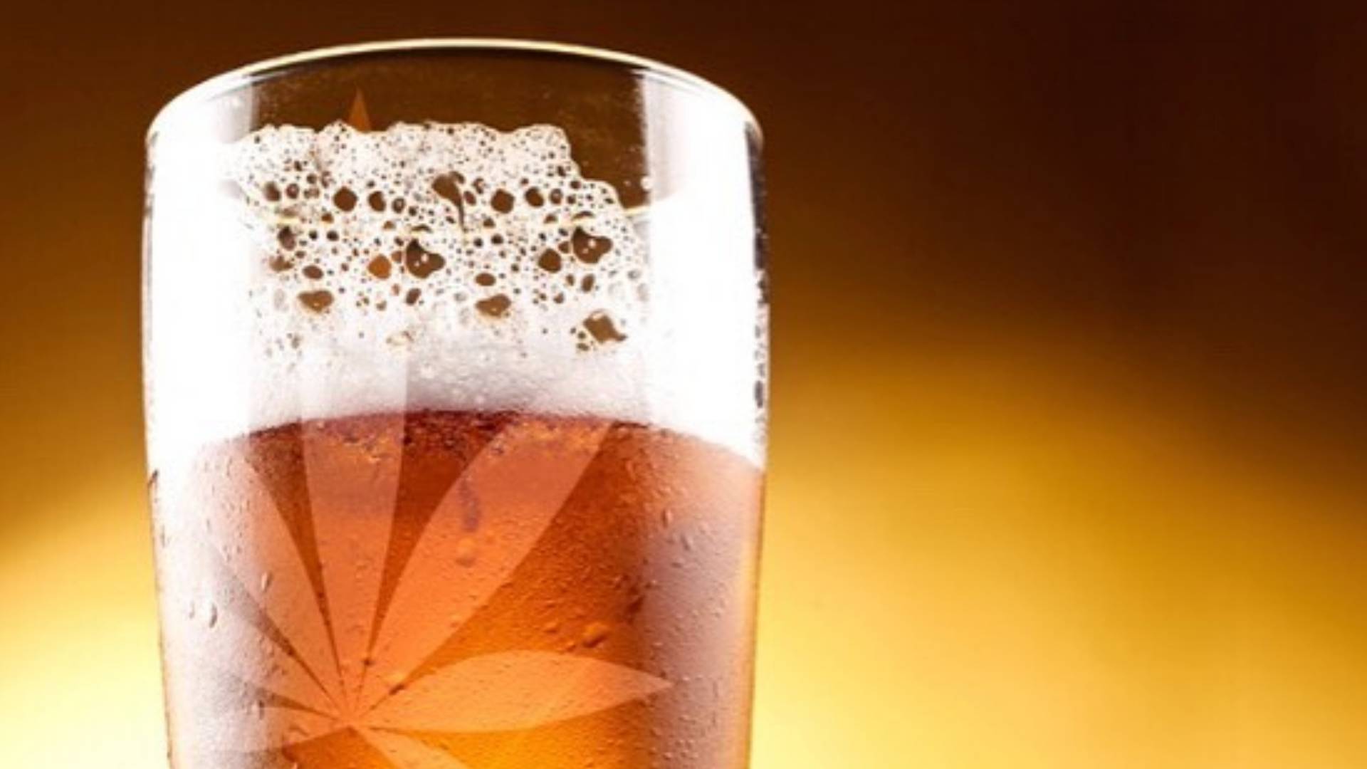 Kanada braut erstes CannabisBier ohne Alkohol! Noizz