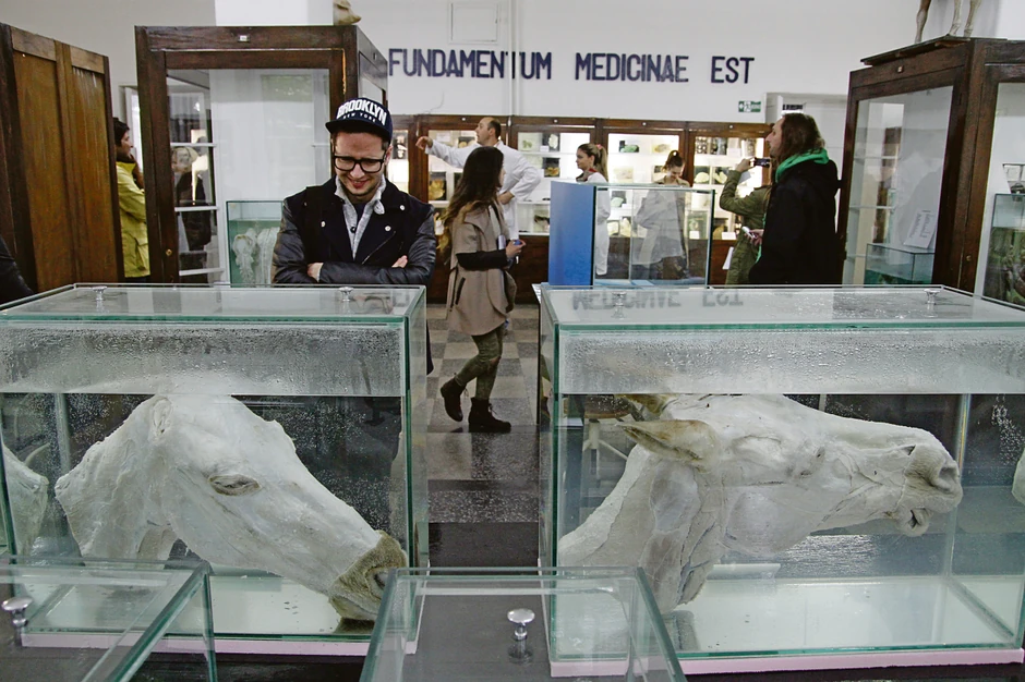 Muzej kao naučna baza za studente