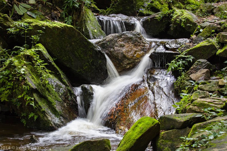 Erin ijesha waterfalls [Irene Becker] 