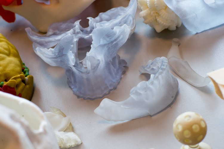 POLSCY NAUKOWCY DRUKUJĄ TRÓJWYMIAROWE MODELE KOŚCI