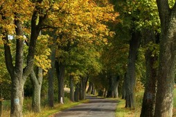 Jesień jak na razie jest pogodna, ale bardzo chłodna 