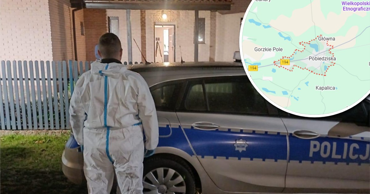 Atak na policjantkę w Wielkopolsce. Policja ujawnia przeszłość nożownika i szczegóły napaści