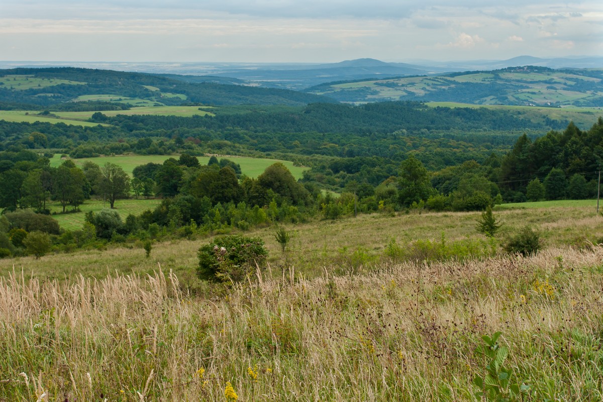 Turnicki Park Krajobrazowy (jeszcze nie Narodowy)