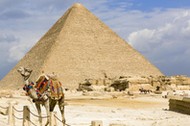 Egypt, Cairo: dromedary in front of the Great Pyramid of Giza (also known as the Pyramid of Khufu or