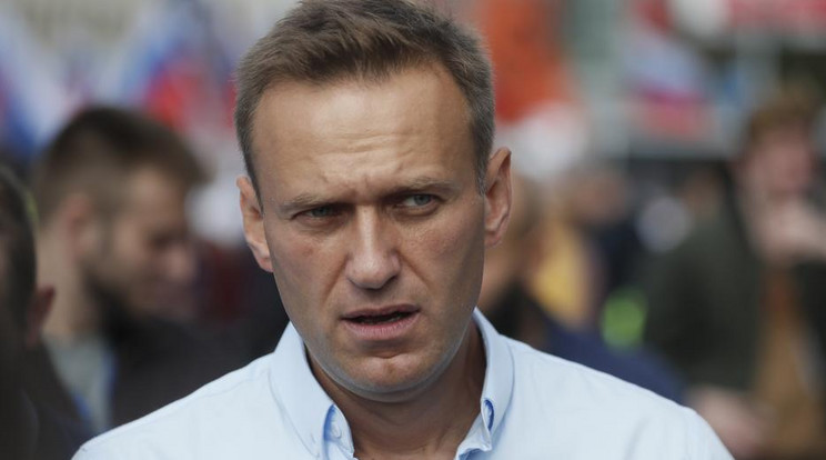 Alekszej Navalnij / Fotó: MTI EPA Szergej Ilnyickij
