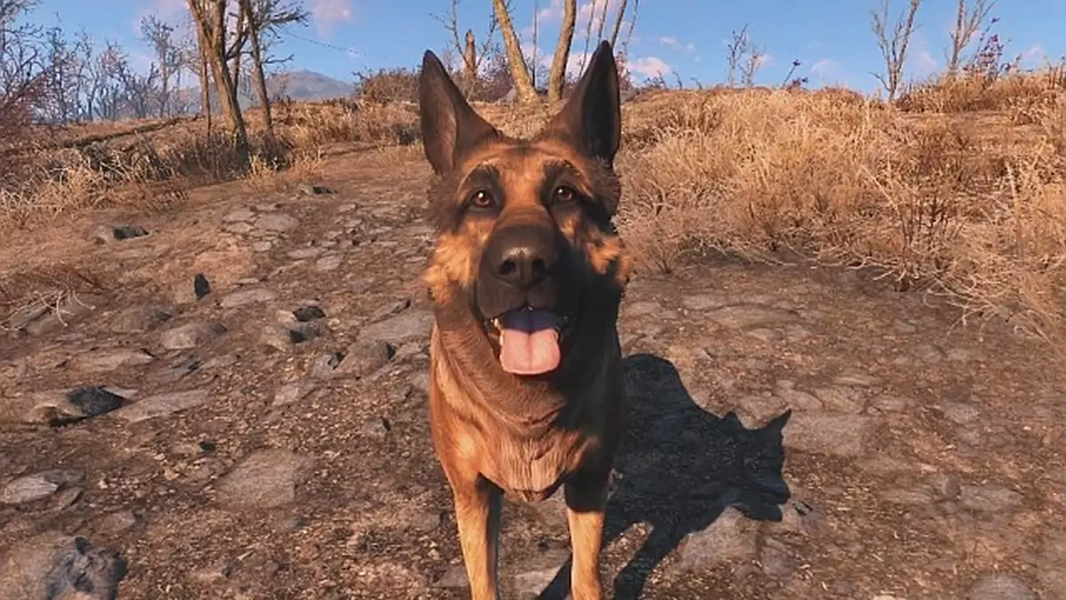 Fallout 4: poznajcie psiaka, na podstawie którego stworzono Dogmeata