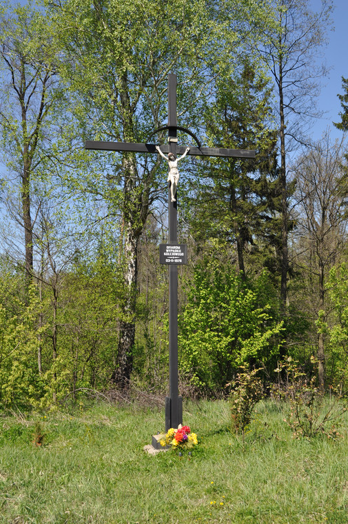 W miejscu katastrofy stanął krzyż (fot. Paweł Szubert / Wikipedia)