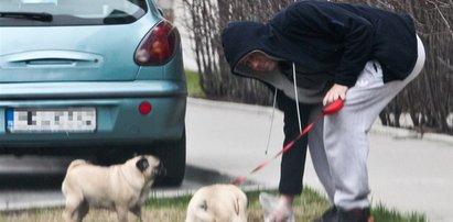 Polski aktor świeci przykładem i sprząta po psach. FOTO