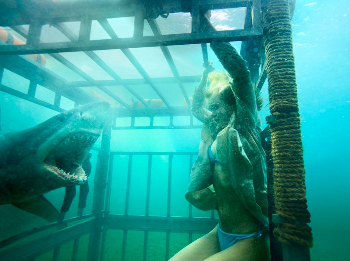 Noc rekinów 3D (Shark Night 3D), reż. David R. Ellis – trailer