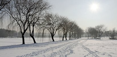 Pogoda na poniedziałek. IMGW ostrzega przed mrozem! Gdzie będzie najchłodniej?