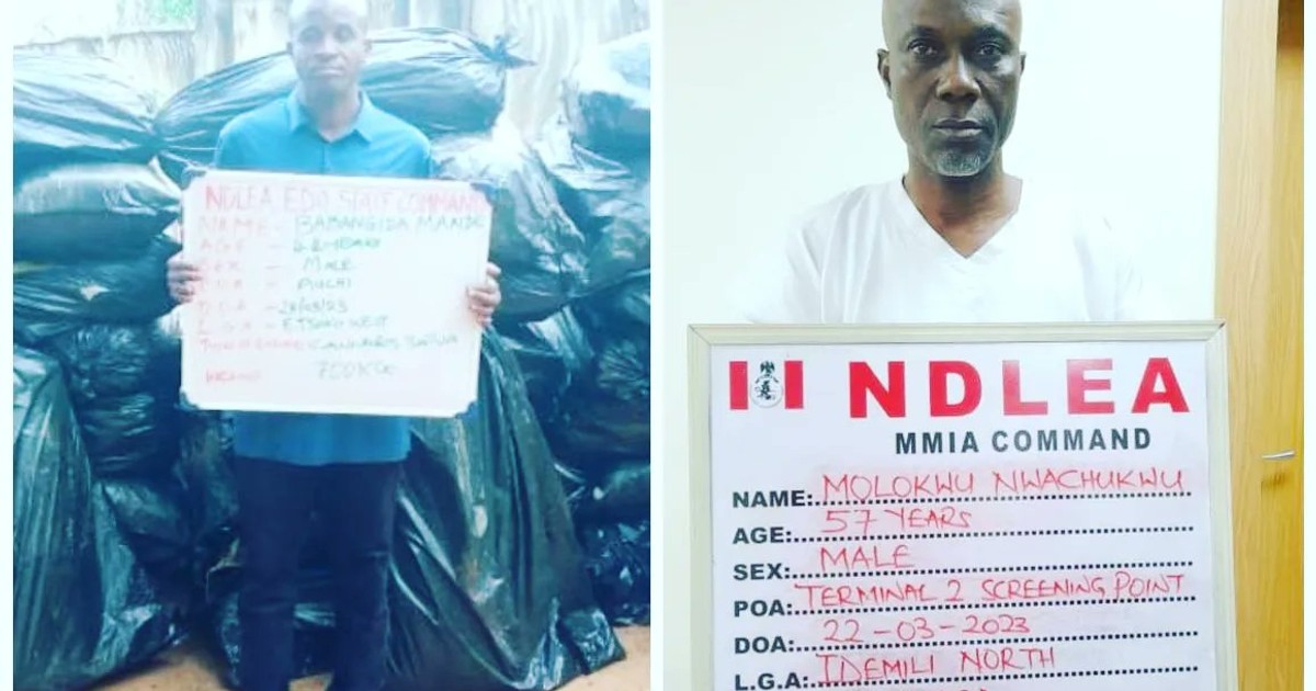 NDLEA arrests businessman, intercepts cocaine, meth enroute Vietnam - Vimarsana News