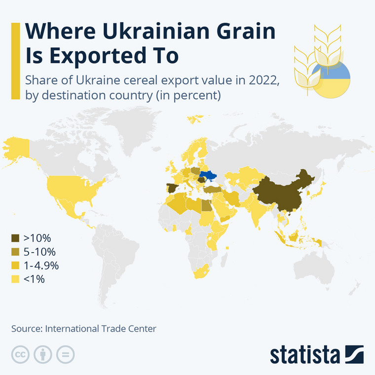 Udział wartości eksportu zbóż z Ukrainy w 2022 r. wg kraju docelowego w proc.