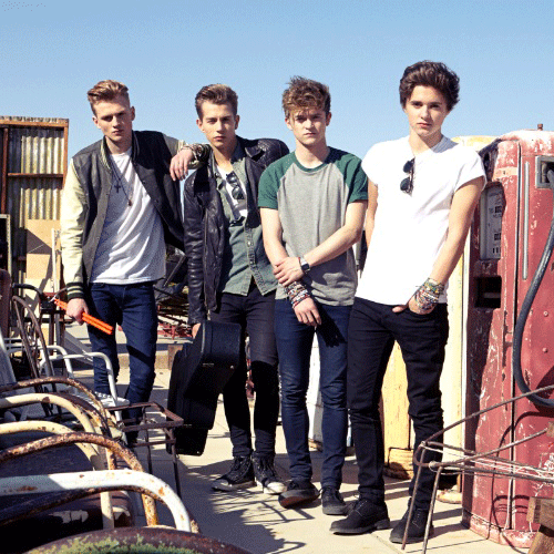 20. The Vamps