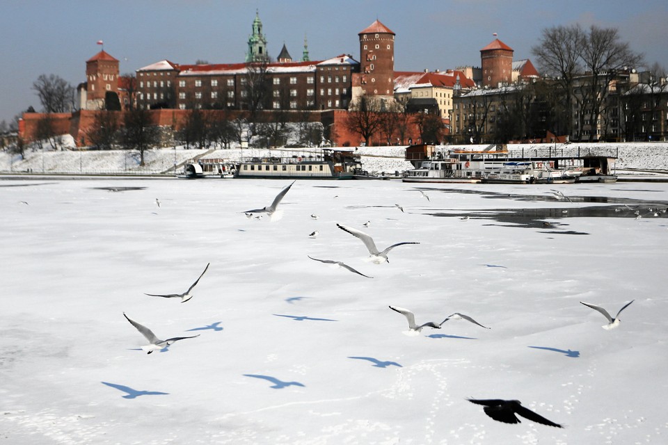 Wisła w Krakowie zamarzła