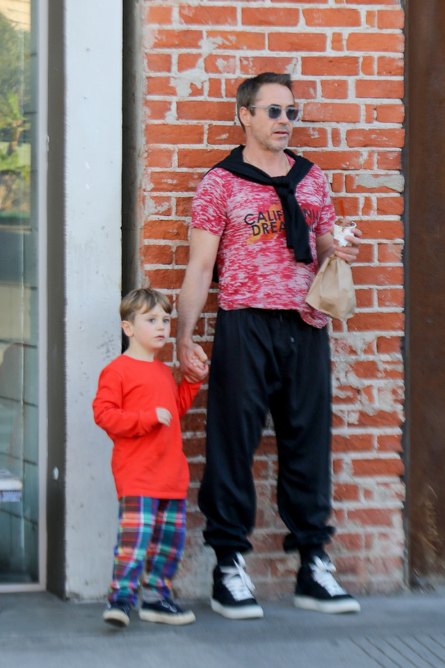 Robert Downey Jr. z synem