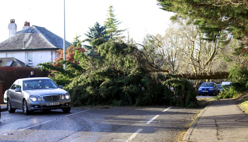 Belfast, Północna Irlandia. Przewrócone drzewo blokuje ulicę