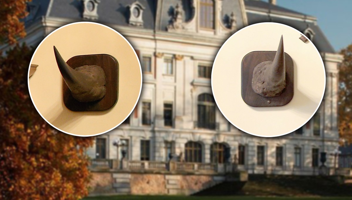 Włamali się do muzeum w Pszczynie. Interesowały ich tylko dwa rogi. Wartość? Lepiej usiądźcie