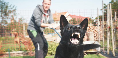 Obrona przed agresywnym psem w świetle polskiego prawa