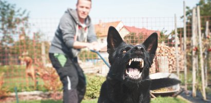 Obrona przed agresywnym psem w świetle polskiego prawa