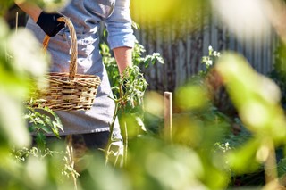 Wójt odda działki w użyczenie, ale tylko na cele związane z zadaniami własnymi gminy na rzecz społeczności