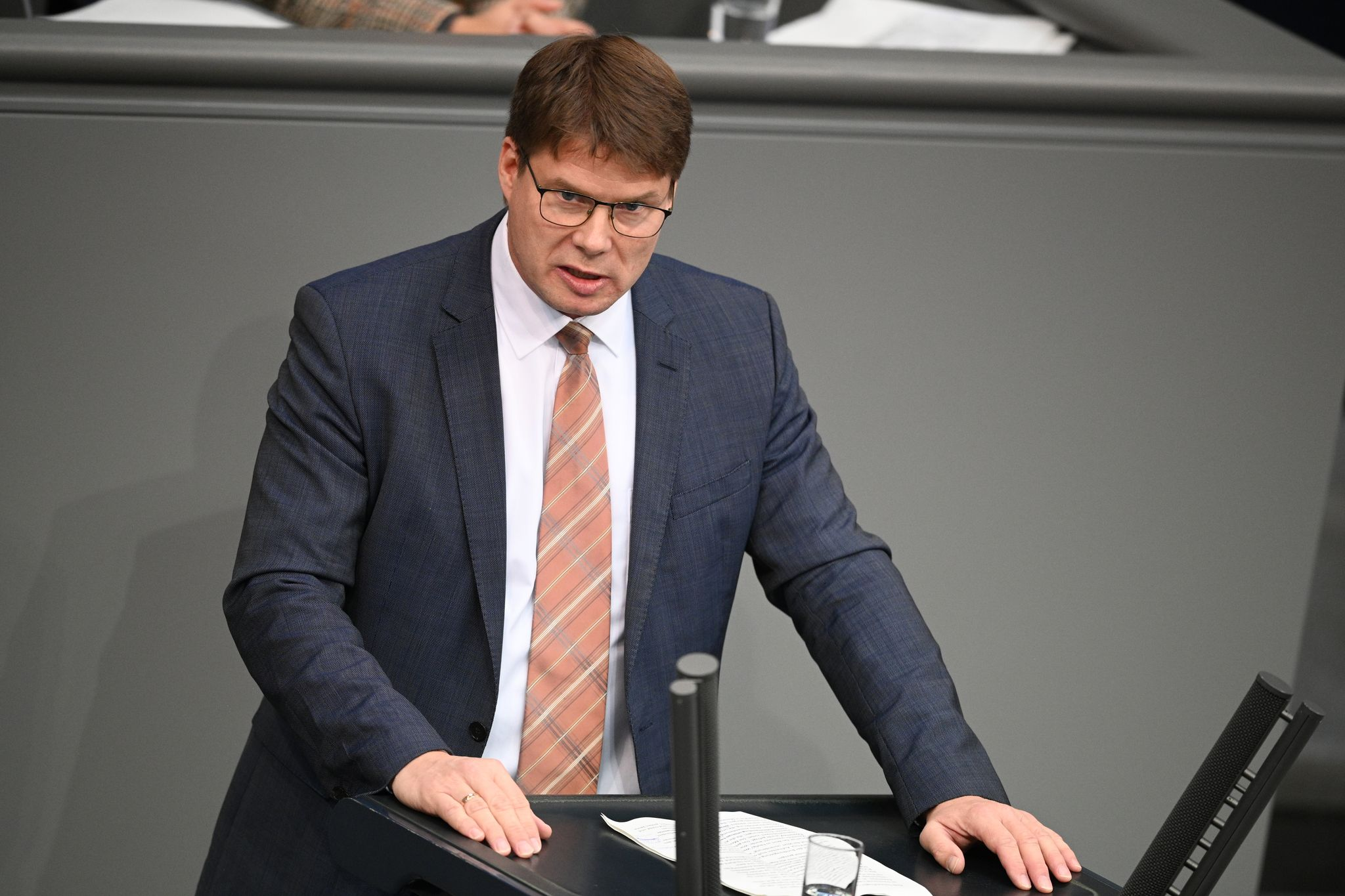 AfD-Abgeordnete reisen nach Russland zu Medwedev - Bundestag übt scharfe Kritik