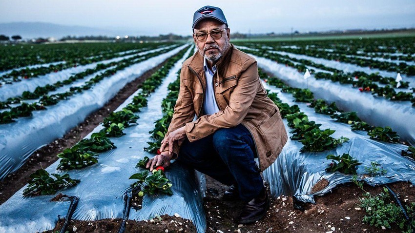 Antonio u polju | Foto: Billy Douglas