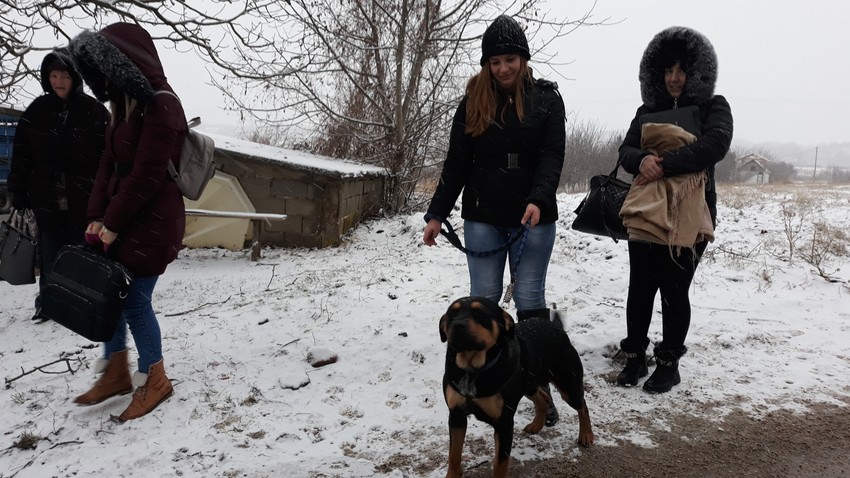 Aleksandra Rašic sa psom Blekijem 