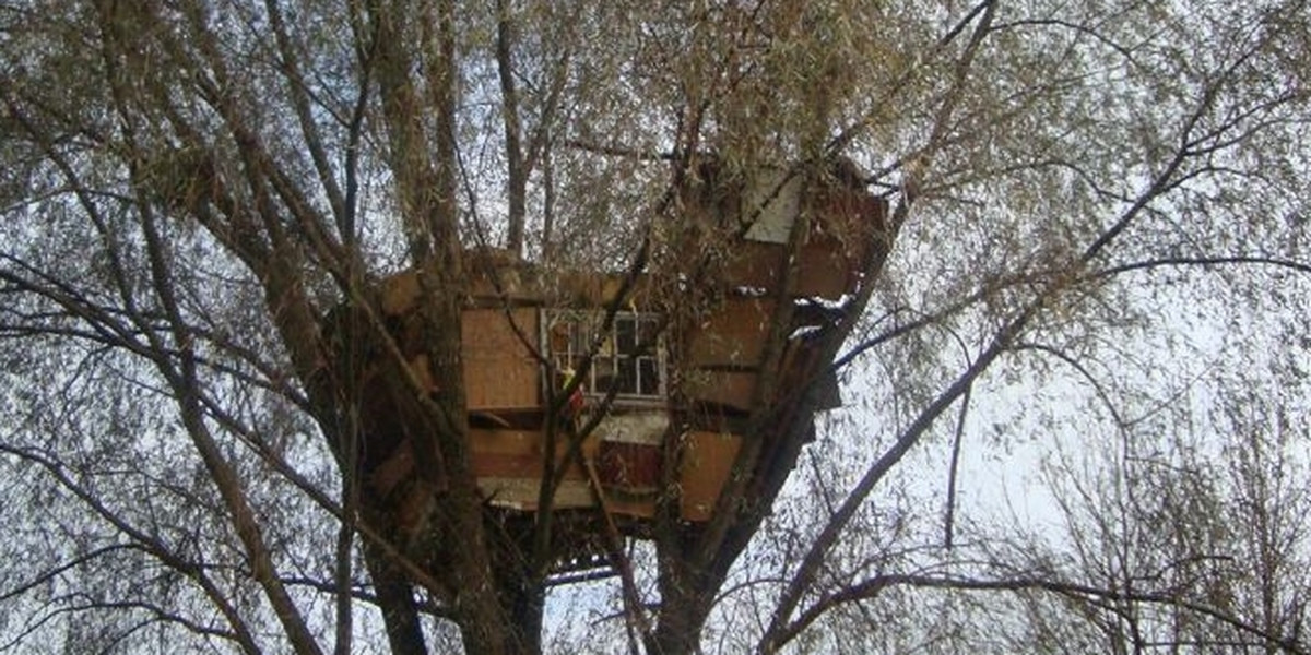 Domek na drzewie w Gliwicach