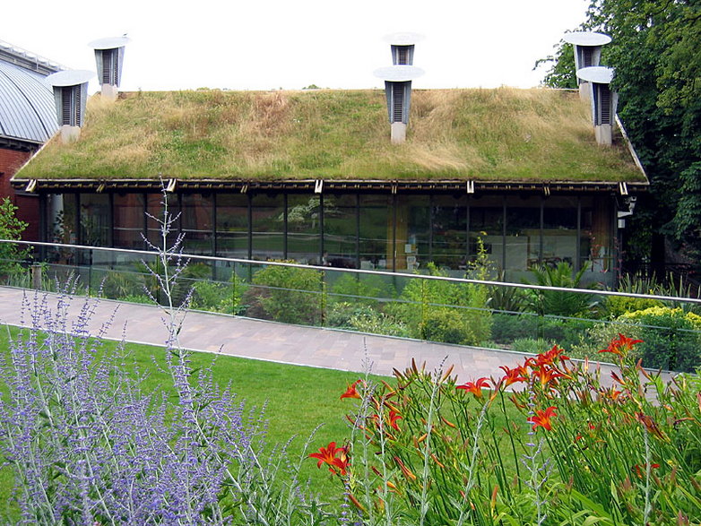 Budynek UEK z zielonym dachem w Horniman Museum w Londynie