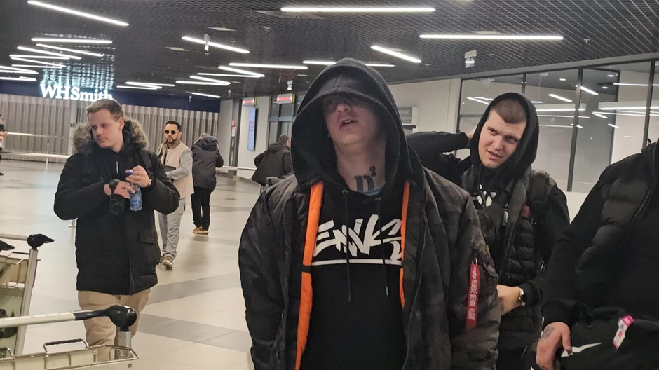 Dragomir Despić Desingerica 