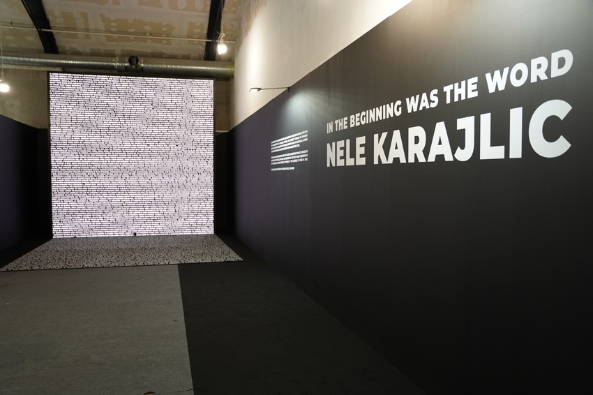 Nele Karajlic U pocetku bese rec