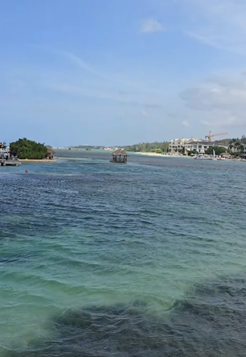 Rasta pokazao kako uživa na Jamajci