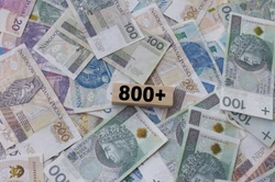 800 plus tylko dla pracujących Ukraińców. Tego chcą Polacy. "Logiczne"