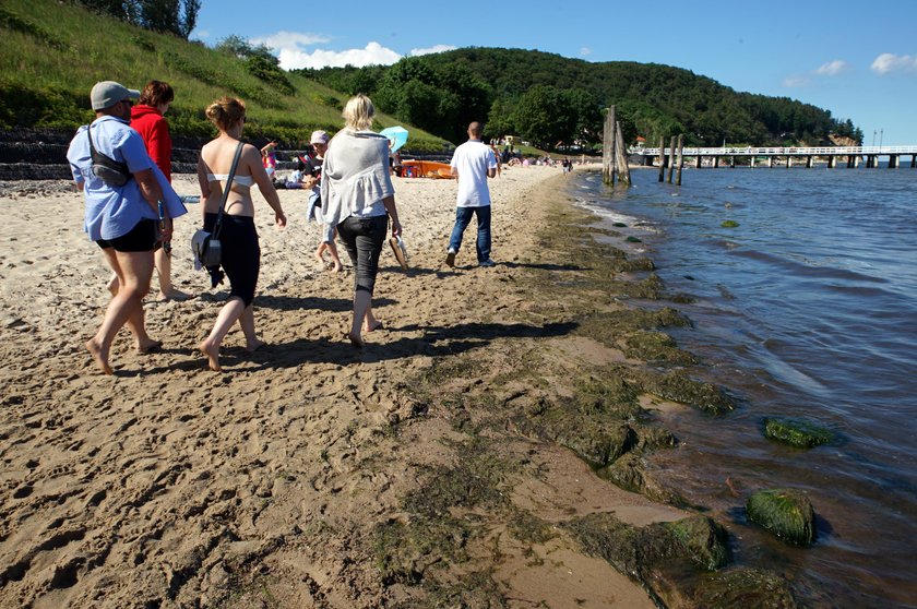 plaża Gdynia Orłowo