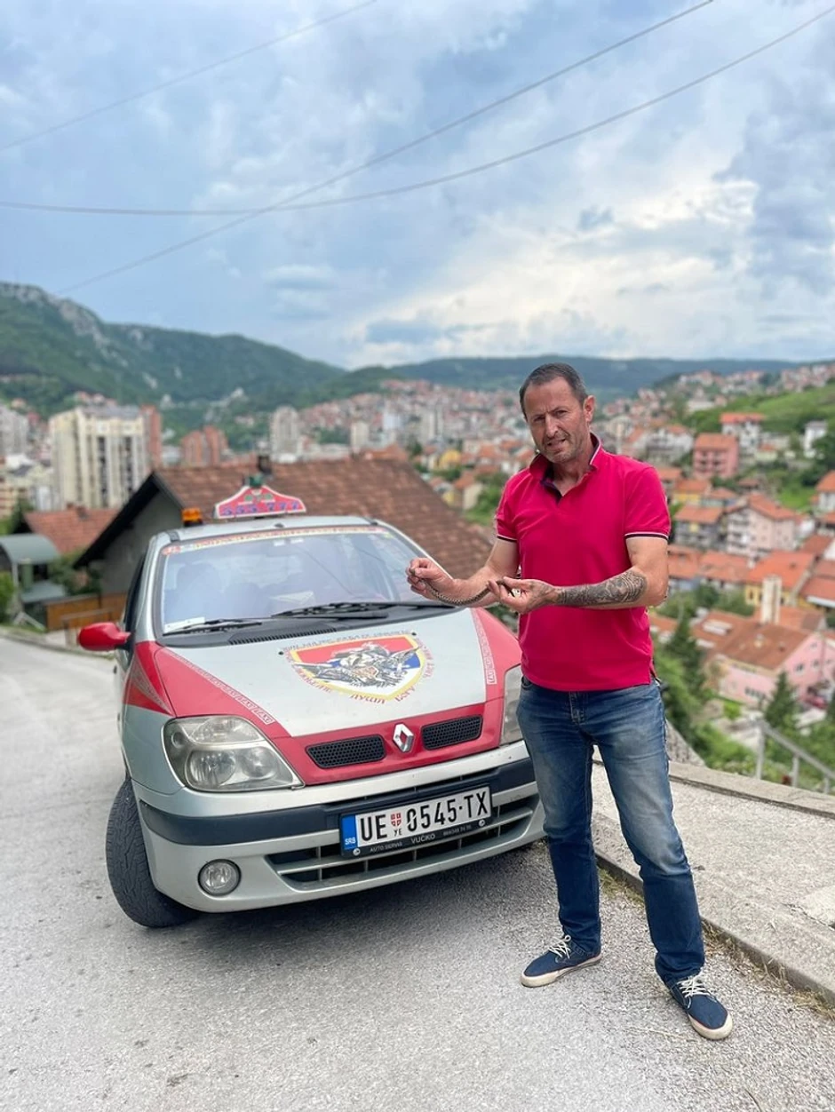 Arsenije hvata zmije golim rukama