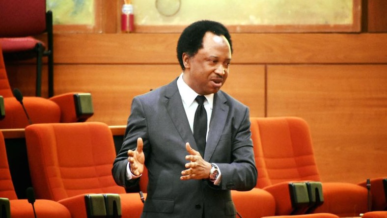 Image result for shehu sani