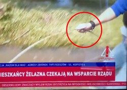 Szokujące, co zrobił reporter TVP na wizji. "Mogę to udowodnić"