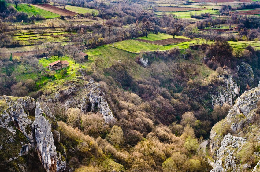 Jelašnička klisura