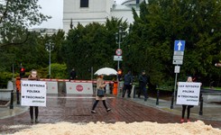 Aktywiści Greenpeace rozsypali trociny przed Sejmem. To protest przeciw ustawie o wycince drzew [FOTO]