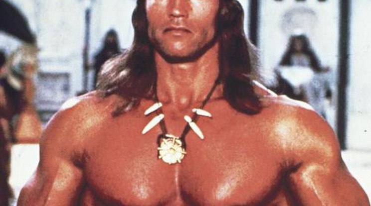 Derékba törhette volna Schwarzenegger karrierjét 