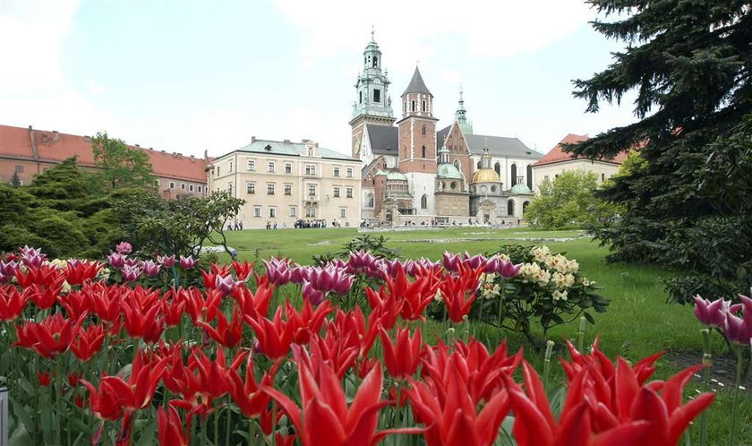 Środa o Wawelu: Okres żałoby mamy za sobą