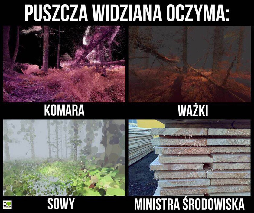 Nowe memy o rządzie