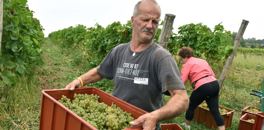 Na saksy w wakacje? Mamy złe wieści dla Polaków